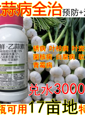 大蒜病全治大蒜专用杀菌剂锈病叶枯病叶斑病白腐病软腐病青霉病