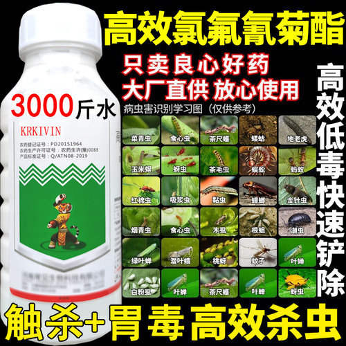 高效氯氟氰菊酯蔬菜农药杀虫剂
