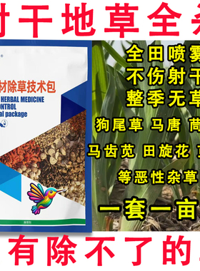 射干除草剂快速杀杂草中药田苗后除草剂杀香附烂根苗后除草剂农药