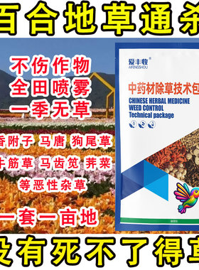 百合除草剂快速杀杂草百合田苗后除草剂杀香附烂根苗后除草剂农药