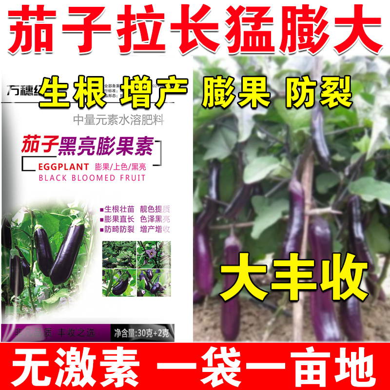 叶面肥增产增收茄子膨大