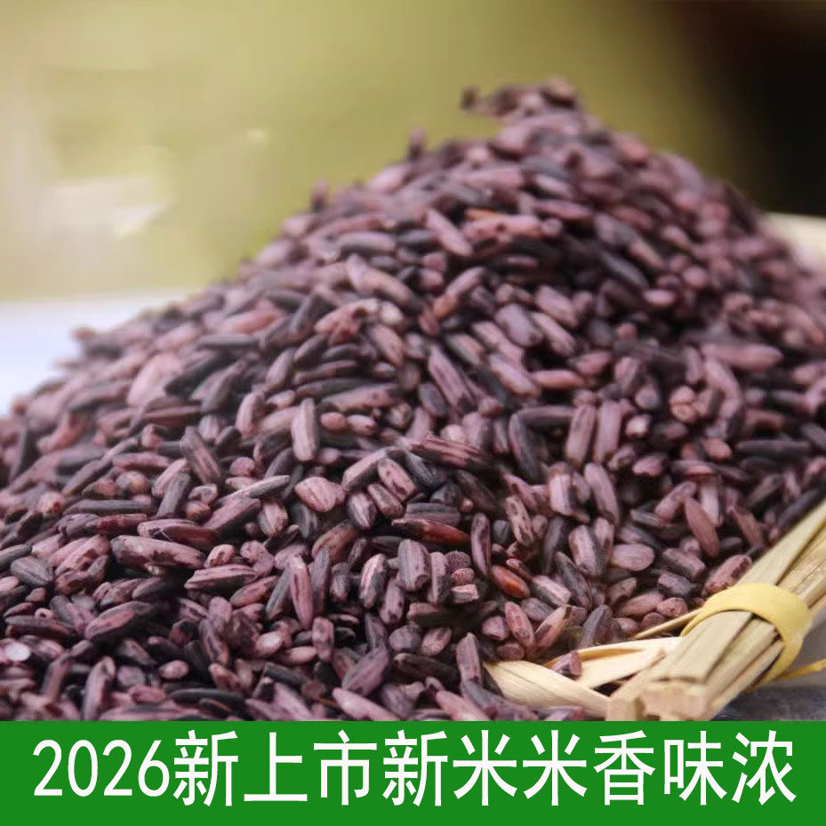 贵州紫米老品种紫糯米500g 农家血糯米黑糯米新米非墨江可包粽子
