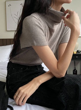 直邮 韩国官网代购女装feminique 2024秋冬 加厚拉绒高领短袖T恤