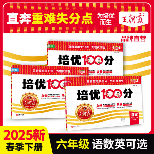 2025培优100分王朝霞试卷六年级