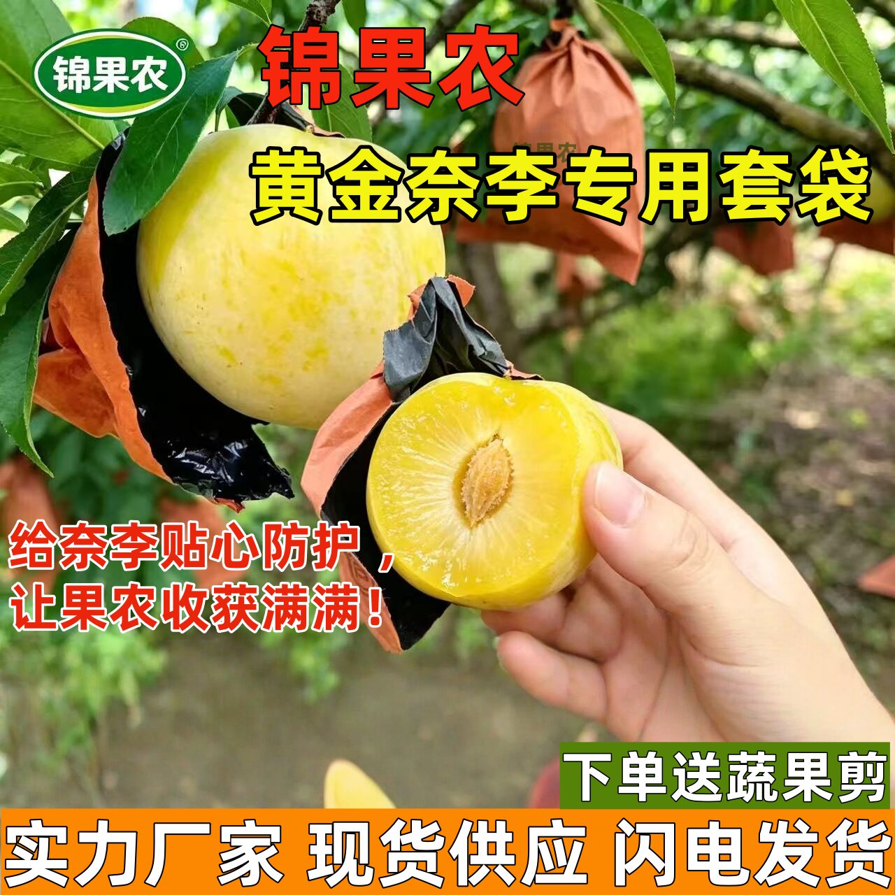李子新款保护袋蜂糖李袋子黄金奈李专用袋保护双层防鸟防水果袋套