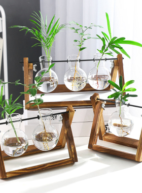 创意烧杯水培木架容器绿萝植物玻璃花瓶办公室桌面摆件插花瓶装饰