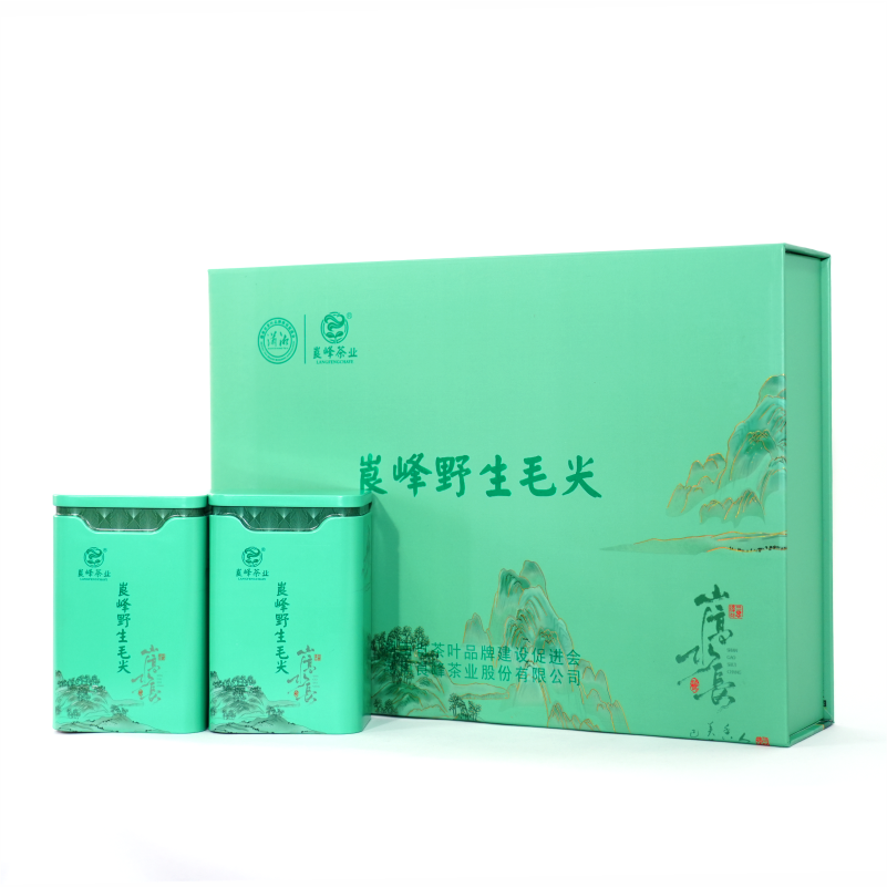 湖南崀山崀峰特产邵阳毛尖绿茶礼盒独立小袋泡共192克
