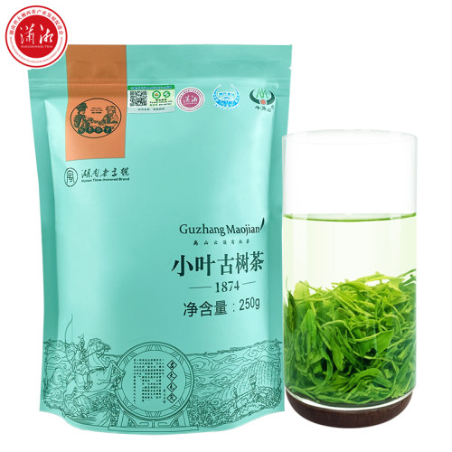 小叶古茶树古丈毛尖湖南湘西