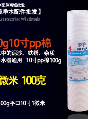 家用净水器10寸pp滤芯前置