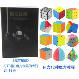 魔方秘籍书本教程书三阶入门初学者速拧公式sq1图纸手册大全cfop