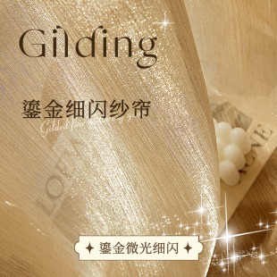 梦幻帘轻奢鎏金纱日式纱帘透光不透人窗帘窗纱高档阳台客厅飘窗梦