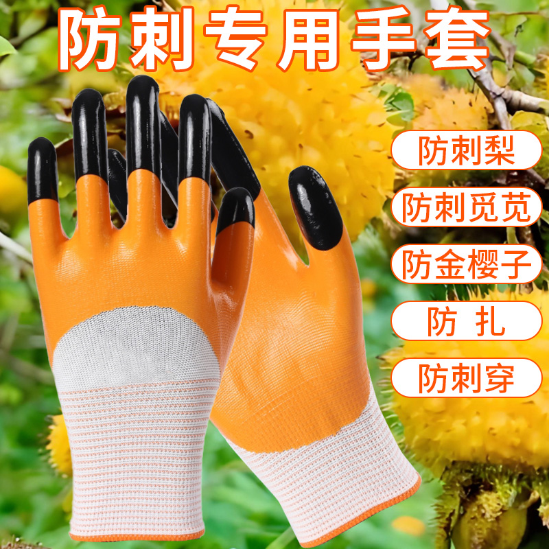 强志达防扎防刺加厚采摘防划伤