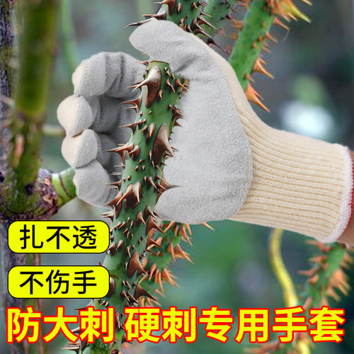 强志达防大刺硬刺加厚手套