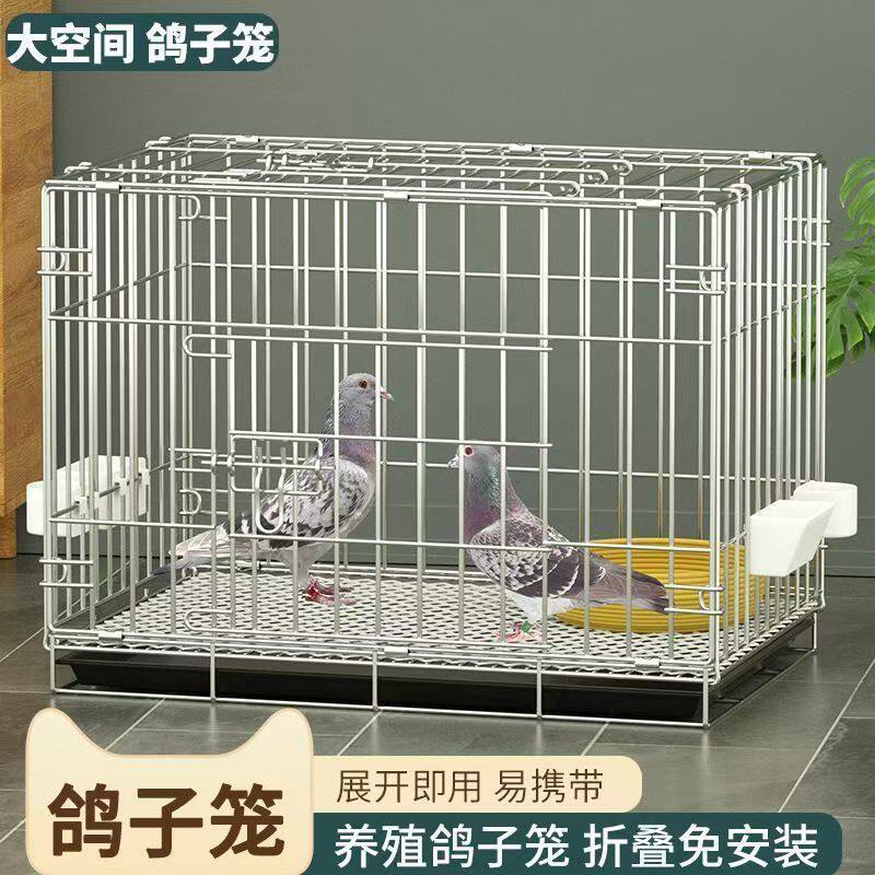 鸽子笼家用室内养殖笼户外养鸽子专用大号带隔断繁殖配对笼鸽用品