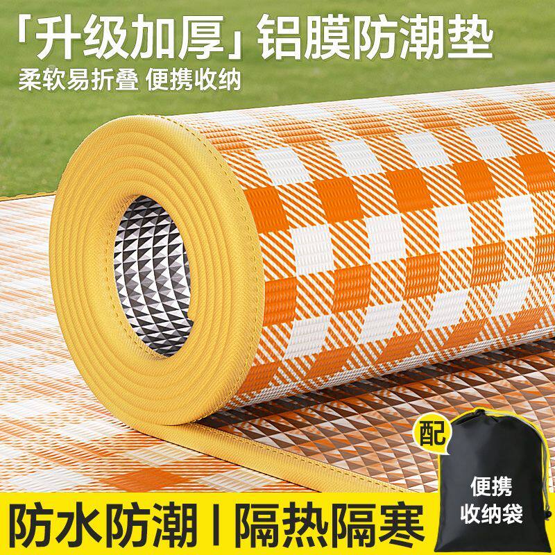 野餐垫防潮垫加厚帐篷户外地垫野外防水布草坪沙滩露营垫子