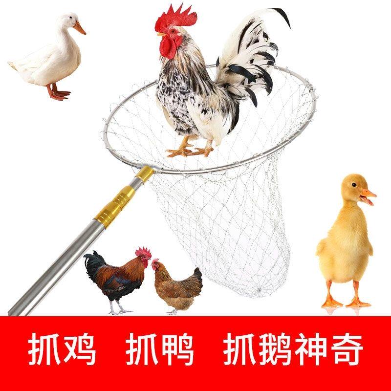 捕鸡神器户外自动抓鸡套网鸭鹅专用鸽子抄网兜室外散养捉土鸡工具