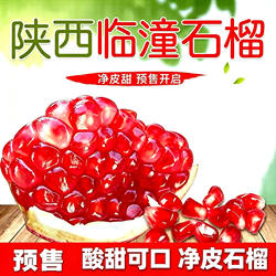 【京东包邮】陕西特产临潼石榴新鲜孕妇水果应季时令季红籽甜石榴