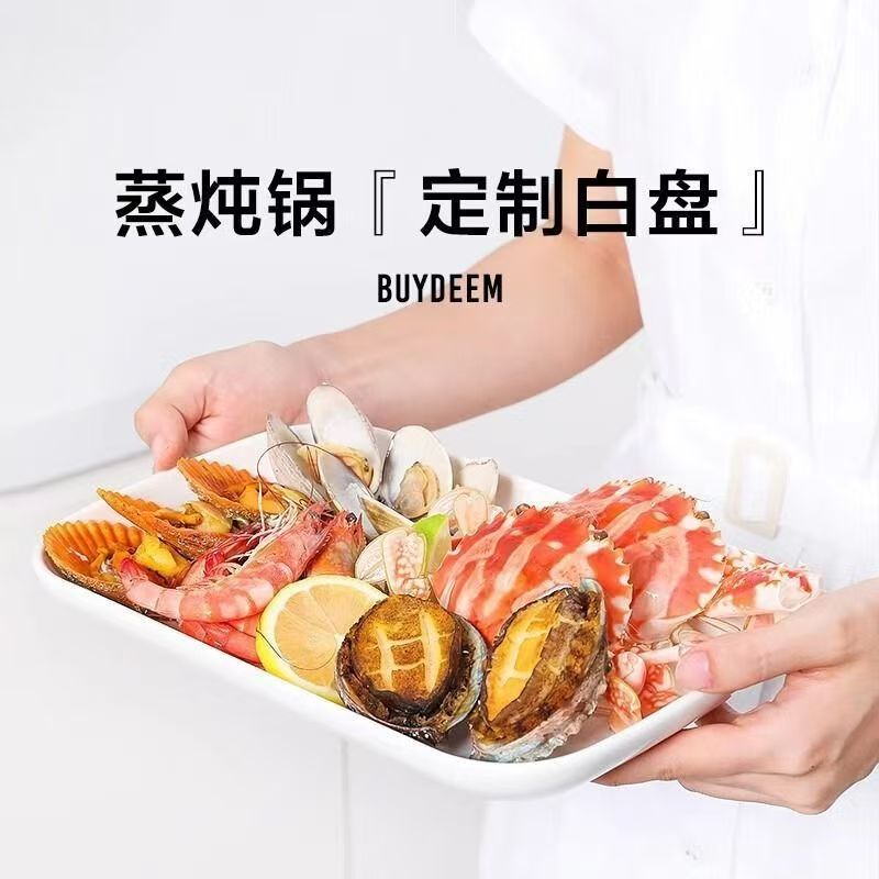 北鼎长方形陶瓷蒸鱼蒸菜盘图片