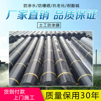 沼气池水产养殖池防渗黑膜土工膜
