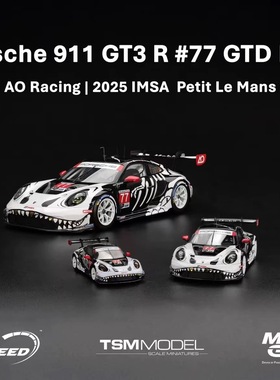 新品定Minigt 1:64保时捷911 GT3 R AO racing 77#骨架龙1143车模