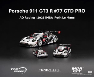 64保时捷911 GT3 定Minigt 骨架龙1143车模 racing 新品