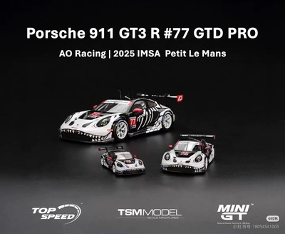 新品定Minigt 1:64保时捷911 GT3 R AO racing 77#骨架龙1143车模