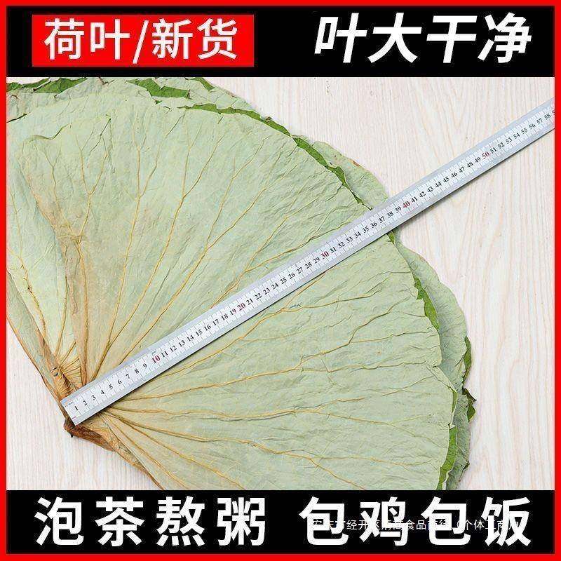 干荷叶整张荷叶大张鸡糯米鸡荷叶茶包鸡包饭新鲜微山湖莲藕叶