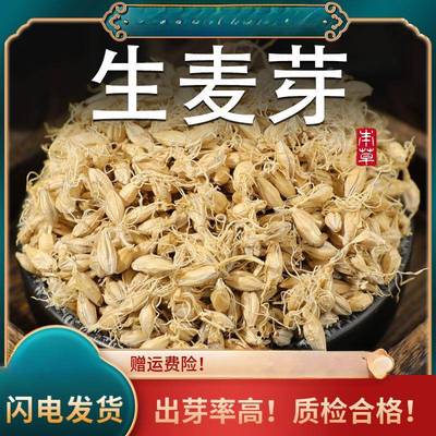 麦芽材生麦芽大麦芽生大麦芽茶麦牙回泡水粉奶新鲜搭谷芽山楂