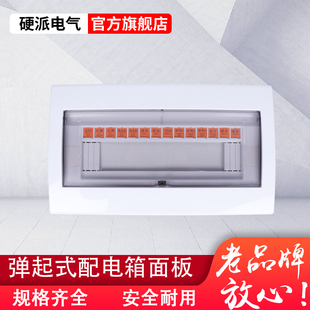 15/18回路家用照明箱面板9/12/20位强电箱消防盖板PZ30配电箱盖子