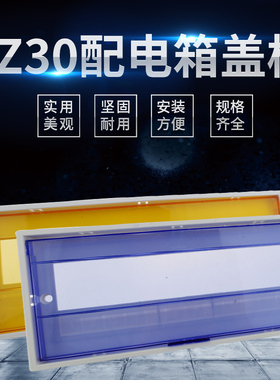PZ30配电箱盖板4/6/8/10/12/15/18/20/24回路保护罩面板家用盖子