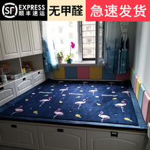 榻榻米垫卧室炕垫农村大炕床垫家用加厚客厅儿童房宝宝爬行垫防摔