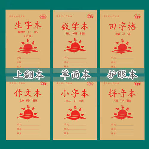 20张九生九田语文生字本单面护眼