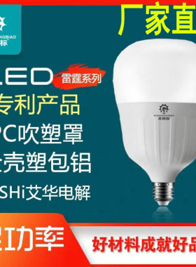 光向标led节能灯10个装足瓦雷霆T球泡E27螺口家用灯厂房照明光