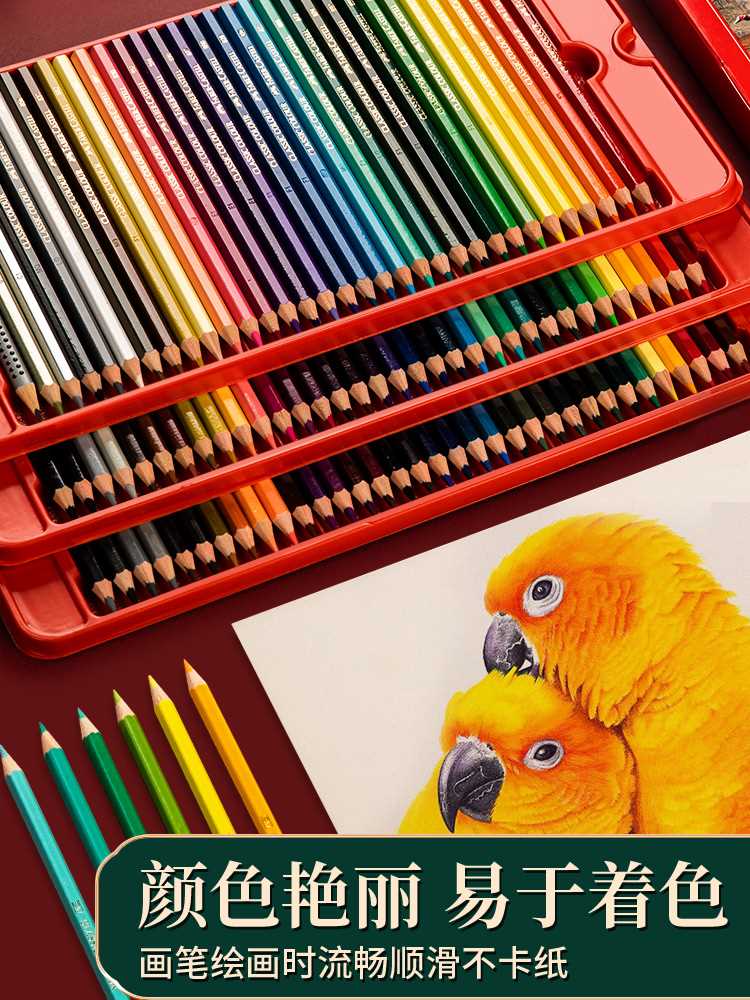 德国辉柏嘉72色油性彩铅24色36色彩色铅笔套装美术用品小学生初学