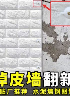 固定钉图钉水泥墙墙布无痕钉钢可钉水泥钉墙纸墙贴混凝土墙壁墙面