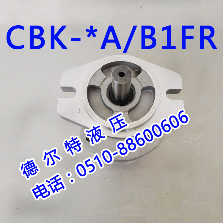 齿轮泵CBK1016-B1FR CBK1020-B1FR CBK1025-B1FR CBK1025-A1FR-封面