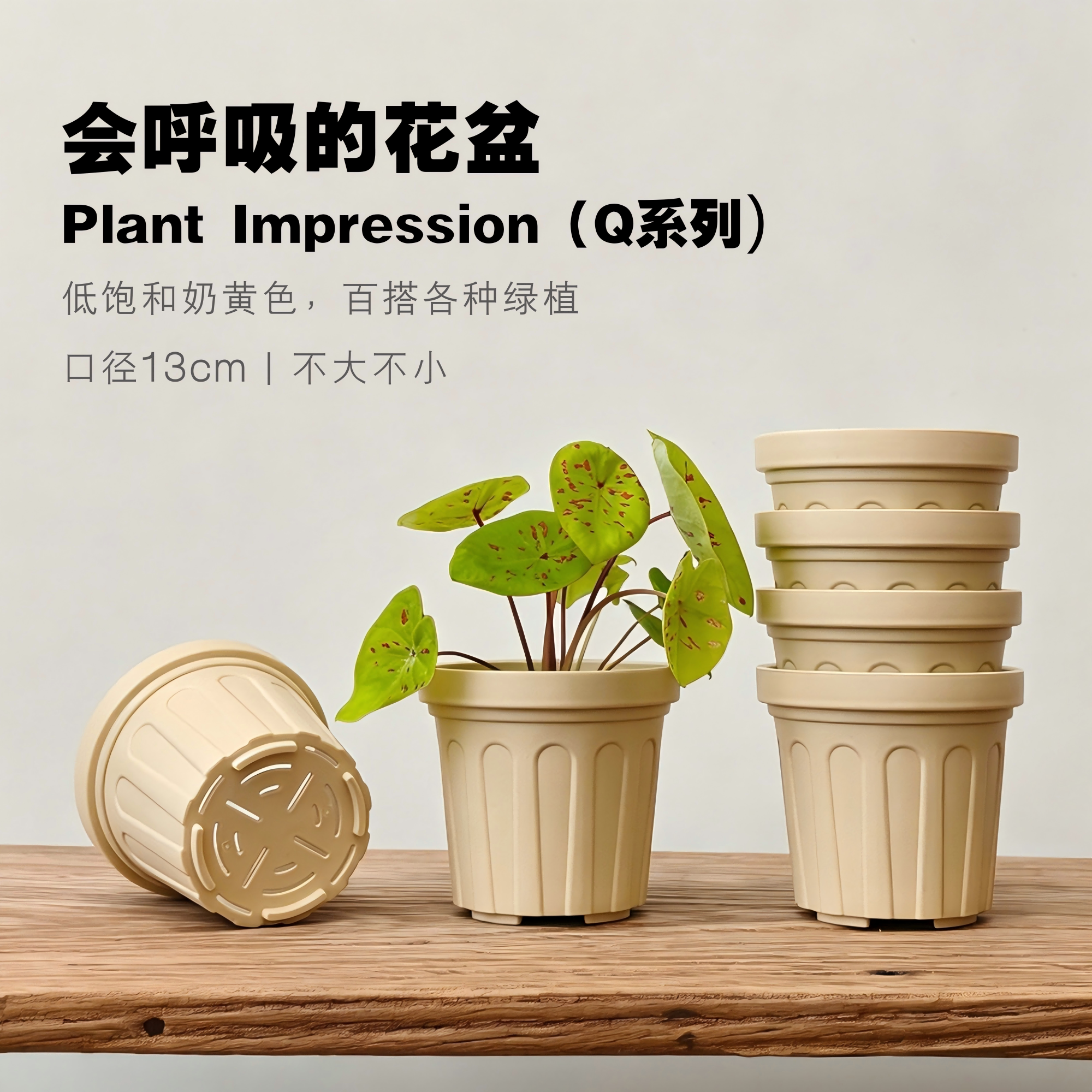 植物印象 简约ins风桌面加厚塑料树脂花盆仿陶盆透气小花盆热植盆