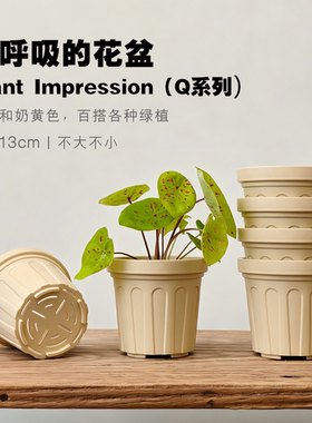 简约ins风桌面加厚树脂透气花盆