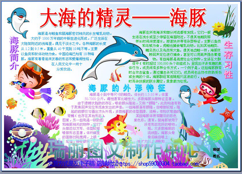 大海海豚研究报告彩色电子小报成品海洋动物手抄报板报模板919