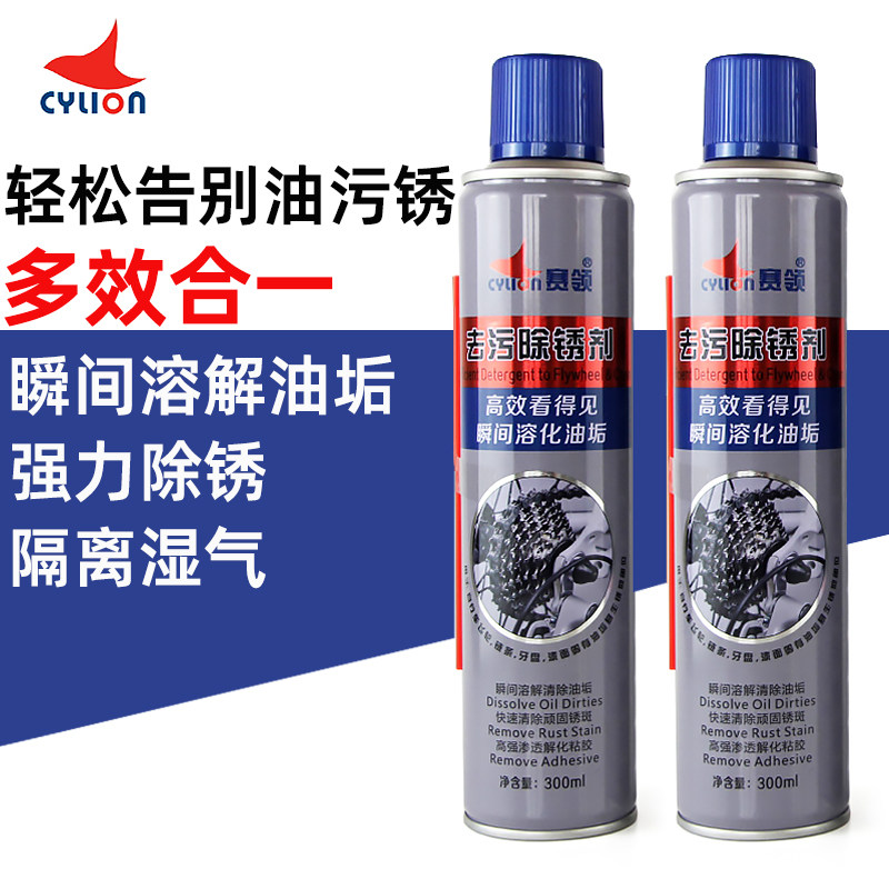 赛领自行车除锈剂山地车链条清洗剂单车飞轮牙盘除锈剂保养油工具