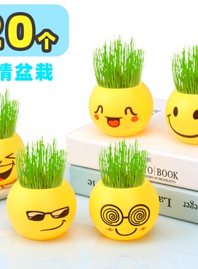 植物办公桌盆栽小草盆栽表情盆栽学生礼品奖品随手礼QQ表情栽培