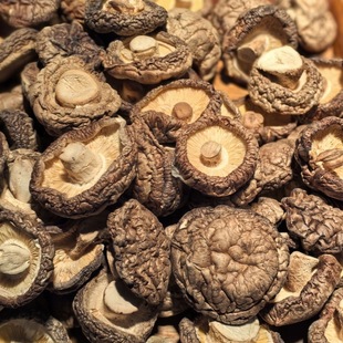 正宗河南省灵宝市卢氏香菇特产新鲜香菇干货农家特产肉厚家庭装