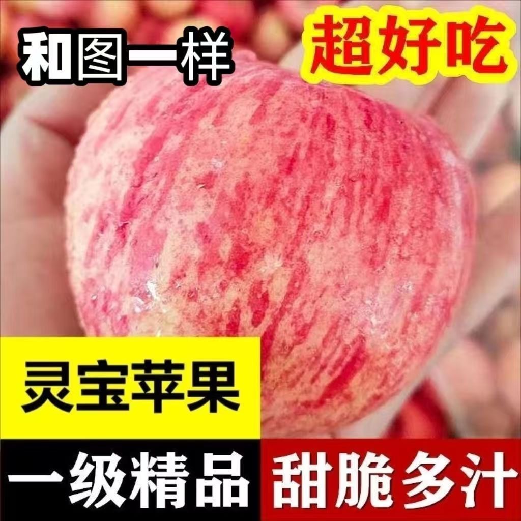 正宗河南灵宝苹果寺河山新鲜水果当季整箱批发脆甜可口多汁