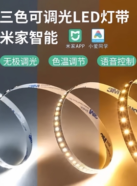 三色变光灯带24V双色温灯带语音智能无极调光192灯双色温三色灯带