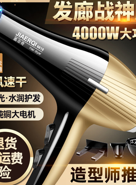专业理发店大功率负离子护发风筒