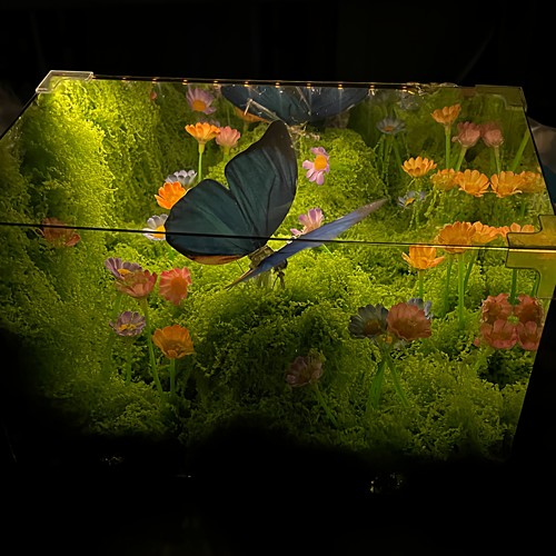 春日蝴蝶手工diy材料包桌面摆件