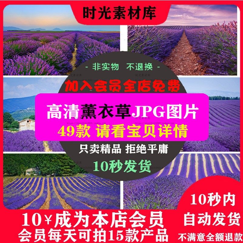 B23 超高清图片薰衣草花海草田背景自然风景设计师美工合成素材 时光素材库 淘优券