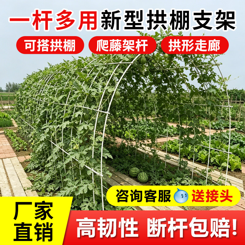 玻璃纤维拱棚蔬菜大棚搭棚子支架豆角丝瓜黄瓜爬藤架家用菜园拱棚