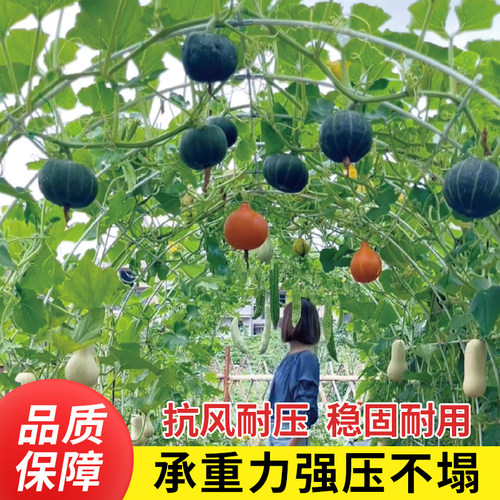玻璃纤维拱棚家用菜园拱棚支架
