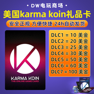 美国Nexon国际服POE/DFO冒险岛Karma Koin点卡KK 10 50 100美金卡